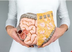 Minimally Invasive Surgery