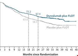 Perioperative Durvalumab in Gastric and Gastroesophageal Junction Cancer